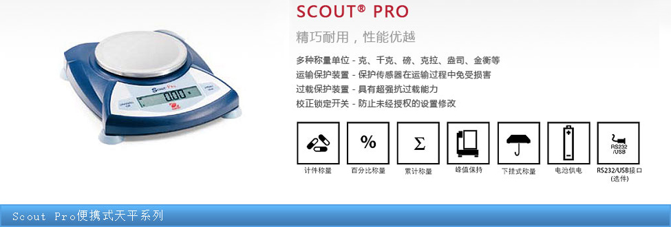 Scout Pro��yʽ��ƽϵ��